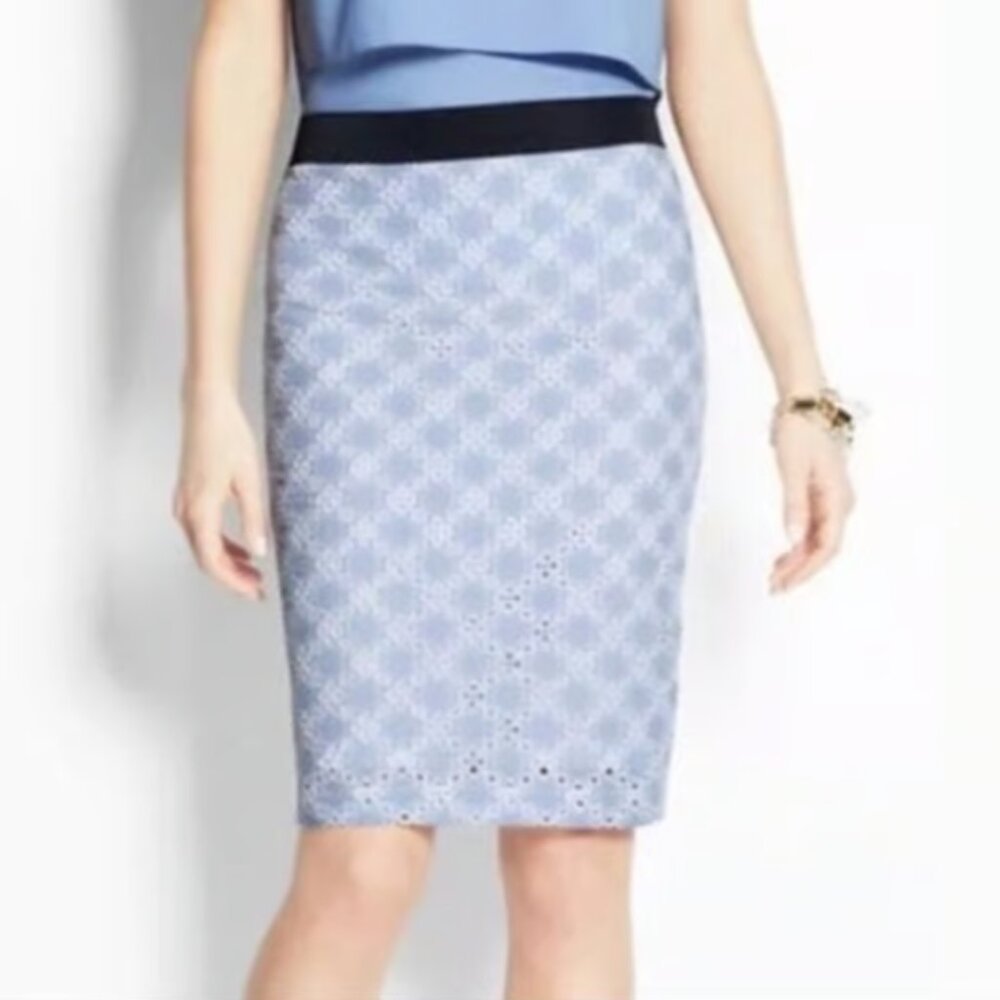 Ann Taylor Blue White Eyelet Lace Skirt